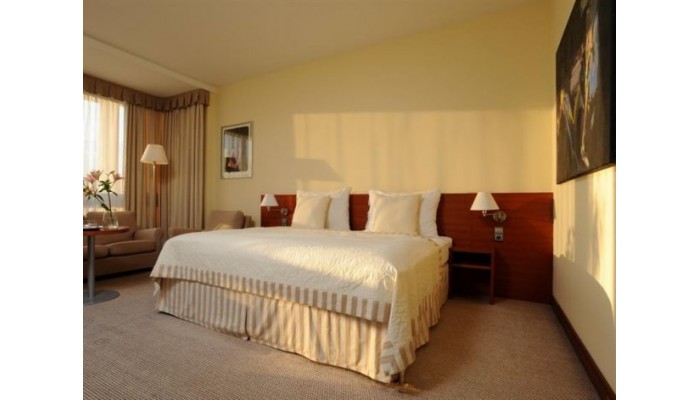 Art Hotel Praha poza 9