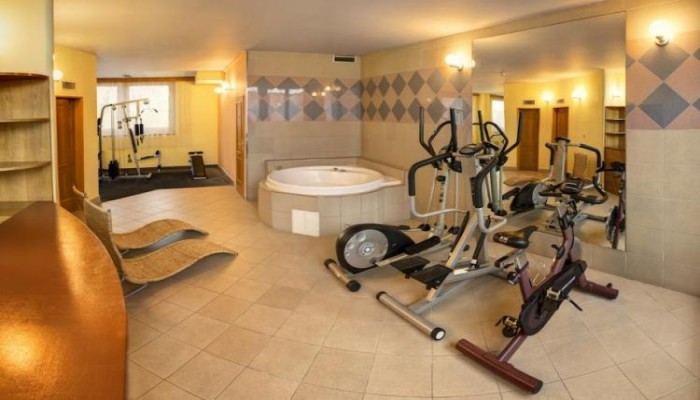 Best Western Hotel Bila Labut poza 6