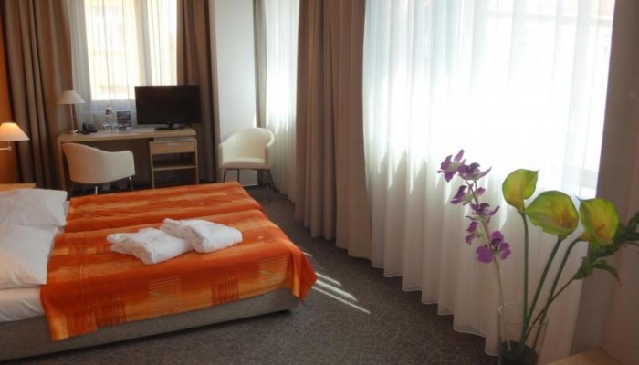 Ehrlich Hotel poza 6