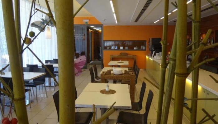 Ehrlich Hotel poza 8