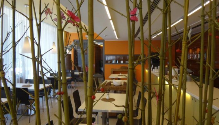 Ehrlich Hotel poza 16