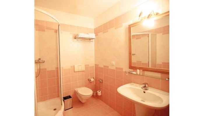 Hotel Louis Leger poza 5