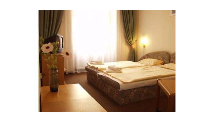 Hotel Pension Brezina poza 2