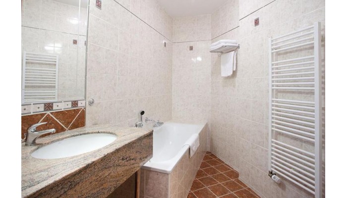 U Divadla Hotel poza 9